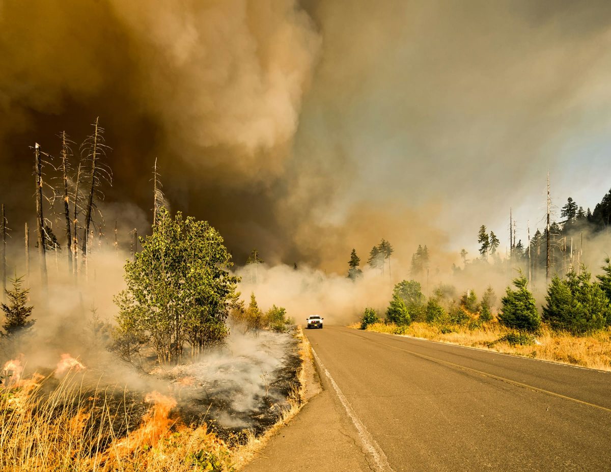 evacuation orders: questions you should ask about homeowner's insurance